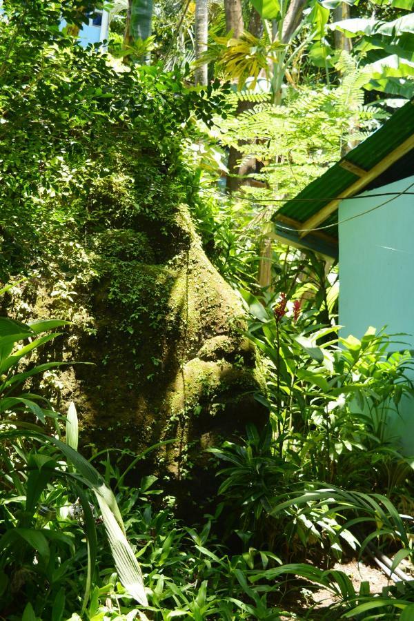 Hotel Luna Llena Nicoya Exteriör bild
